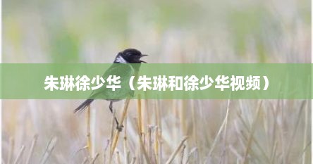 朱琳徐少华（朱琳和徐少华视频）