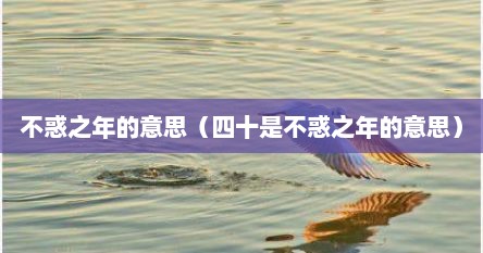 不惑之年的意思（四十是不惑之年的意思）