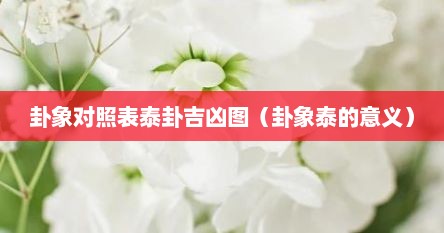 卦象对照表泰卦吉凶图（卦象泰的意义）