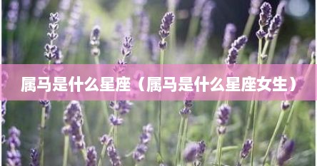 属马是什么星座（属马是什么星座女生）