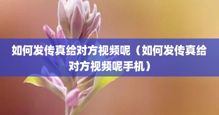 如何发传真给对方视频呢（如何发传真给对方视频呢手机）