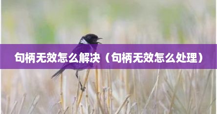 句柄无效怎么解决（句柄无效怎么处理）