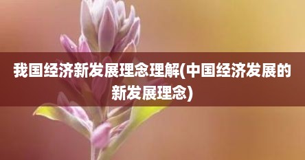 我国经济新发展理念理解(中国经济发展的新发展理念)