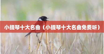 小提琴十大名曲（小提琴十大名曲免费听）