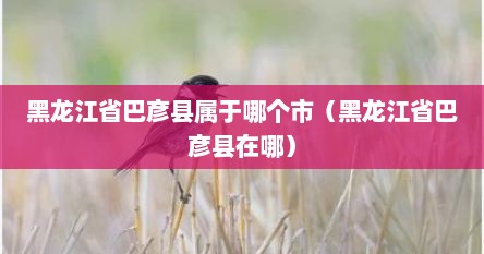 黑龙江省巴彦县属于哪个市（黑龙江省巴彦县在哪）