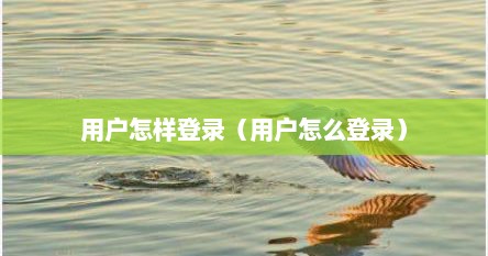用户怎样登录（用户怎么登录）