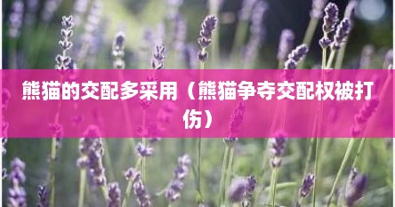 熊猫的交配多采用（熊猫争夺交配权被打伤）