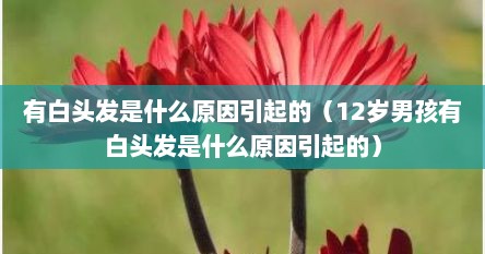 有白头发是什么原因引起的(12岁男孩有白头发是什么原因引起的)