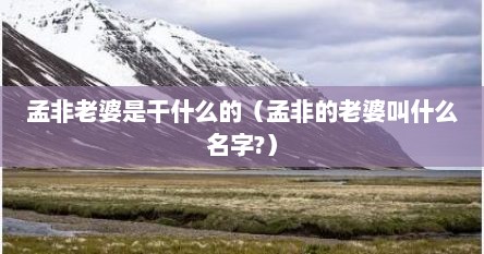 孟非老婆是干什么的（孟非的老婆叫什么名字?）