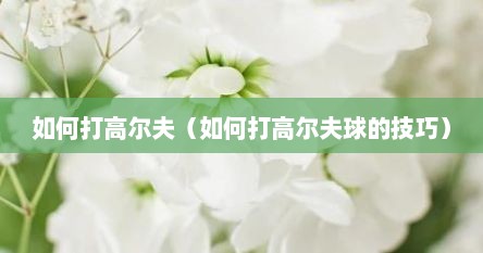 如何打高尔夫（如何打高尔夫球的技巧）