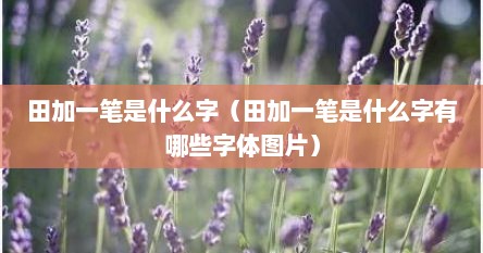 田加一笔是什么字（田加一笔是什么字有哪些字体图片）