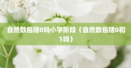 自然数包括0吗小学阶段（自然数包括0和1吗）