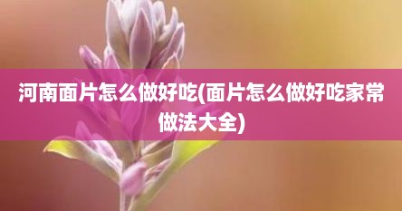 河南面片怎么做好吃(面片怎么做好吃家常做法大全)