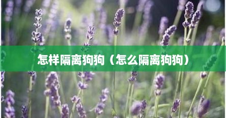 怎样隔离狗狗（怎么隔离狗狗）