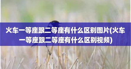 火车一等座跟二等座有什么区别图片(火车一等座跟二等座有什么区别视频)