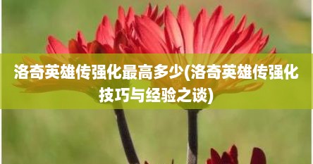 洛奇英雄传强化最高多少(洛奇英雄传强化技巧与经验之谈)