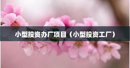 小型投资办厂项目（小型投资工厂）