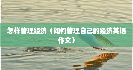 怎样管理经济（如何管理自己的经济英语作文）