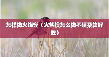 怎样做火烧馍（火烧馍怎么做不硬柔软好吃）