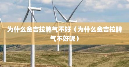 为什么金吉拉脾气不好（为什么金吉拉脾气不好呢）
