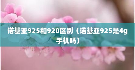 诺基亚925和920区别（诺基亚925是4g手机吗）