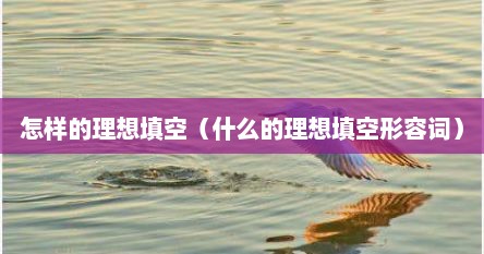 怎样的理想填空（什么的理想填空形容词）