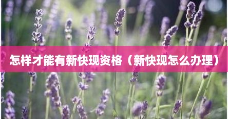 怎样才能有新快现资格（新快现怎么办理）