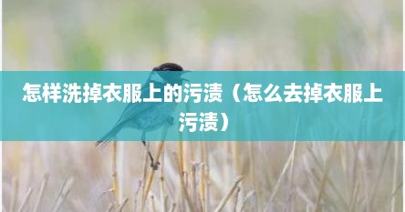 怎样洗掉衣服上的污渍（怎么去掉衣服上污渍）