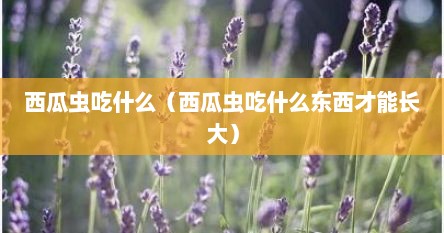 西瓜虫吃什么（西瓜虫吃什么东西才能长大）
