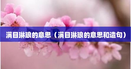 满目琳琅的意思（满目琳琅的意思和造句）