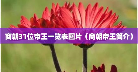 商朝31位帝王一览表图片（商朝帝王简介）