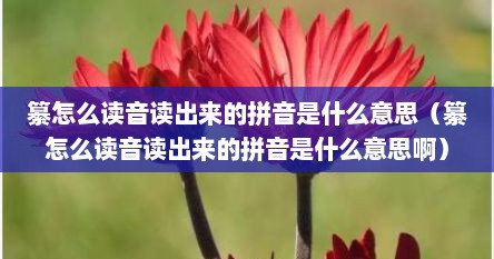 纂怎么读音读出来的拼音是什么意思（纂怎么读音读出来的拼音是什么意思啊）