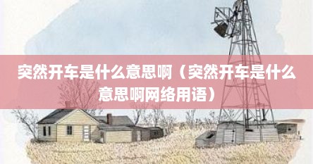 突然开车是什么意思啊（突然开车是什么意思啊网络用语）