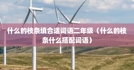 什么的枝条填合适词语二年级（什么的枝条什么搭配词语）