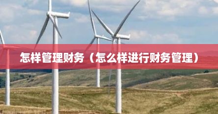 怎样管理财务（怎么样进行财务管理）