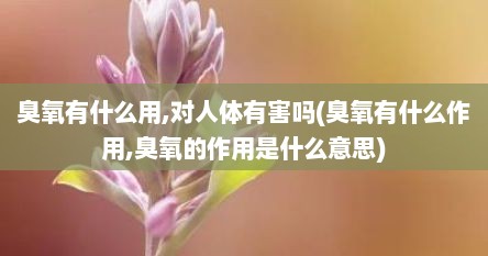 臭氧有什么用,对人体有害吗(臭氧有什么作用,臭氧的作用是什么意思)