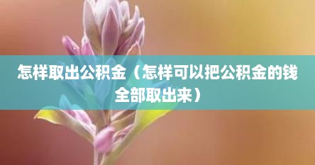 怎样取出公积金（怎样可以把公积金的钱全部取出来）