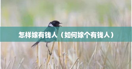 怎样嫁有钱人（如何嫁个有钱人）