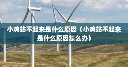 小鸡站不起来是什么原因（小鸡站不起来是什么原因怎么办）
