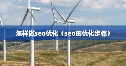 怎样做seo优化（seo的优化步骤）