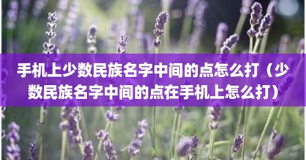 手机上少数民族名字中间的点怎么打（少数民族名字中间的点在手机上怎么打）