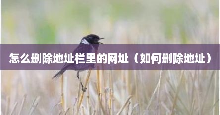 怎么删除地址栏里的网址（如何删除地址）
