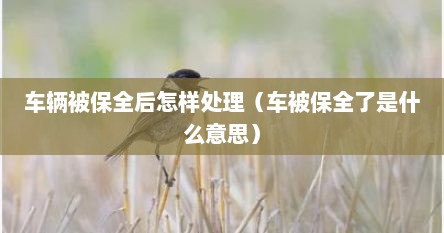 车辆被保全后怎样处理（车被保全了是什么意思）