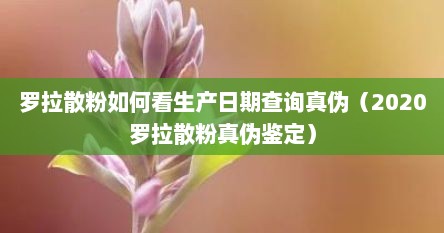 罗拉散粉如何看生产日期查询真伪（2020罗拉散粉真伪鉴定）