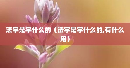 法学是学什么的（法学是学什么的,有什么用）