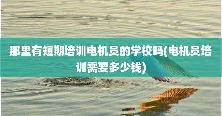 那里有短期培训电机员的学校吗(电机员培训需要多少钱)