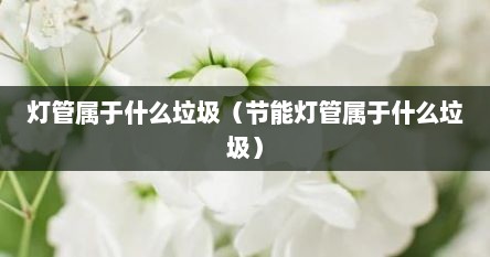灯管属于什么垃圾（节能灯管属于什么垃圾）