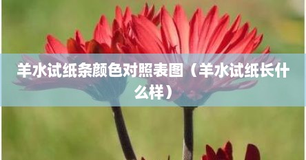 羊水试纸条颜色对照表图（羊水试纸长什么样）