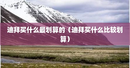迪拜买什么最划算的（迪拜买什么比较划算）
