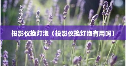 投影仪换灯泡（投影仪换灯泡有用吗）
